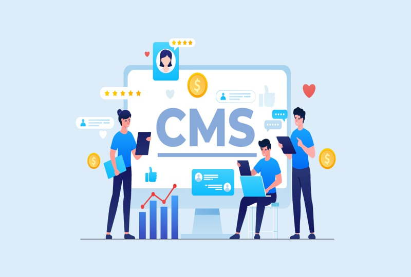 CMSهای اختصاصی در مقابل CMSهای عمومی : کدام یک برای شما مناسب تر است