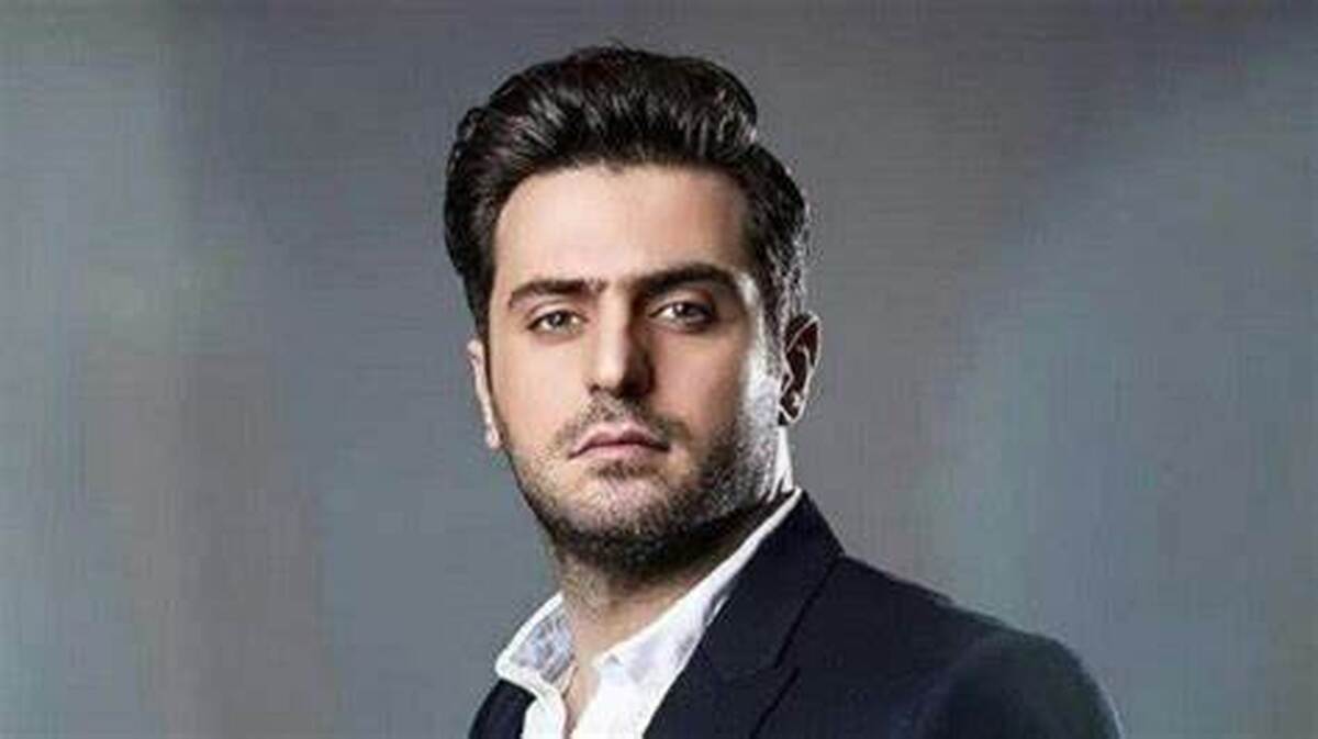 کنسرت عکس یادگاری علی ضیا و شایع در کنسرت سیروان