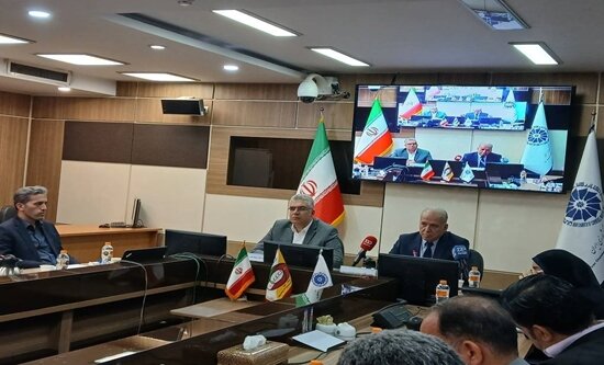 آنلاین فراهم شدن امکان فروش کالای ایرانی در سکوی آنلاین چین