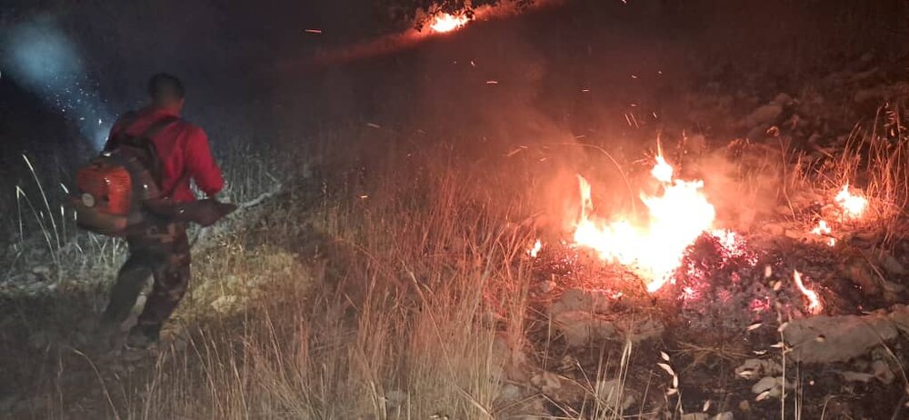 جنگل آتش جنگلهای لوداب شهرستان بویراحمد مهار شد