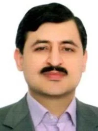 نویسنده کتاب حوزه های نوین در ترجمه : دکتر محمدرضا شفیعی