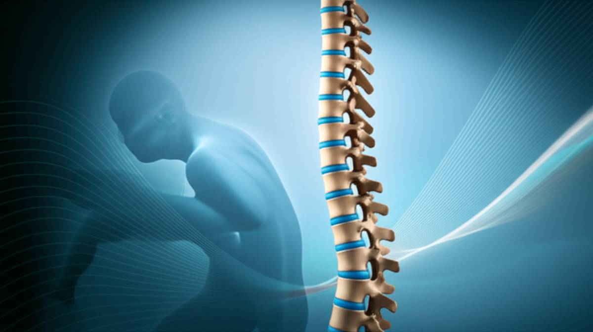 خلاصه کتاب وضعیت بدنی و پایداری ستون فقرات | جامع و کامل