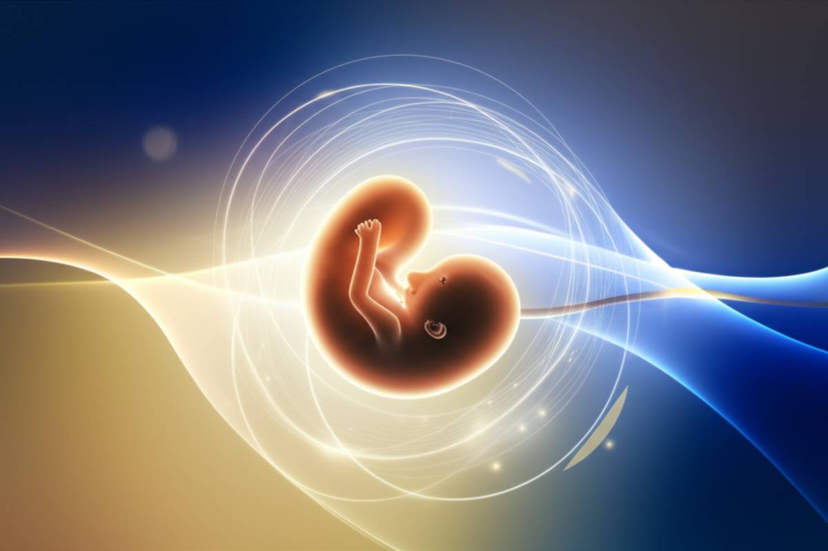 حکم جنین اهدایی از دیدگاه آیت الله سیستانی | فتوای کامل