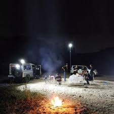 چند نوع فیش لایت داریم؟